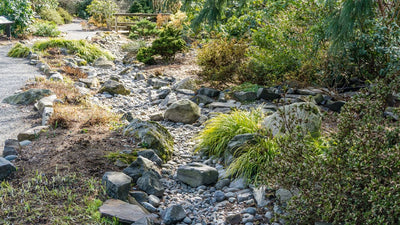 Create a Natural Dry Creek Bed: 5 Simple Steps