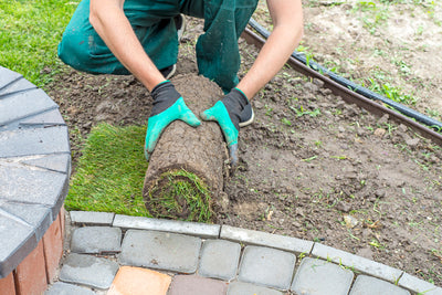 Spring has sprung: 5 jobs for the garden