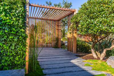 Creative privacy screen and fencing solutions