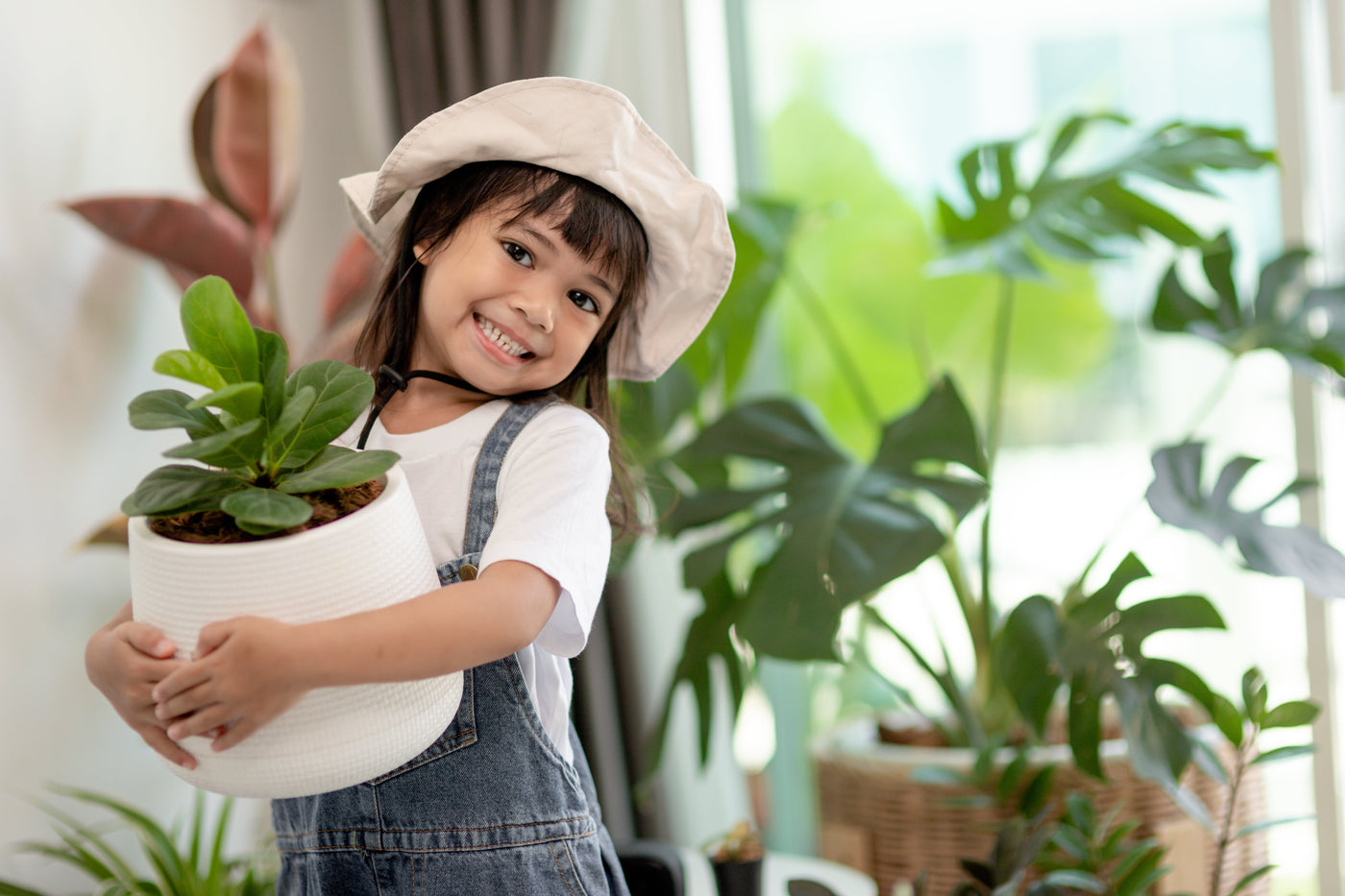 How to keep your pot plants happy