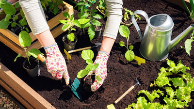 Tips for using the right soil in your garden