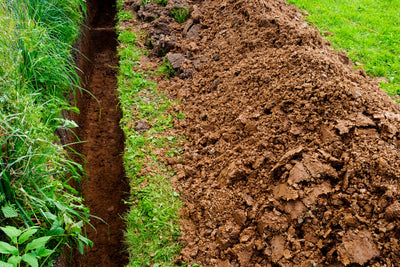 The importance of good drainage in your garden
