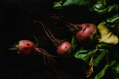 Veggie Gardens: When and How Often Should I Fertilise?