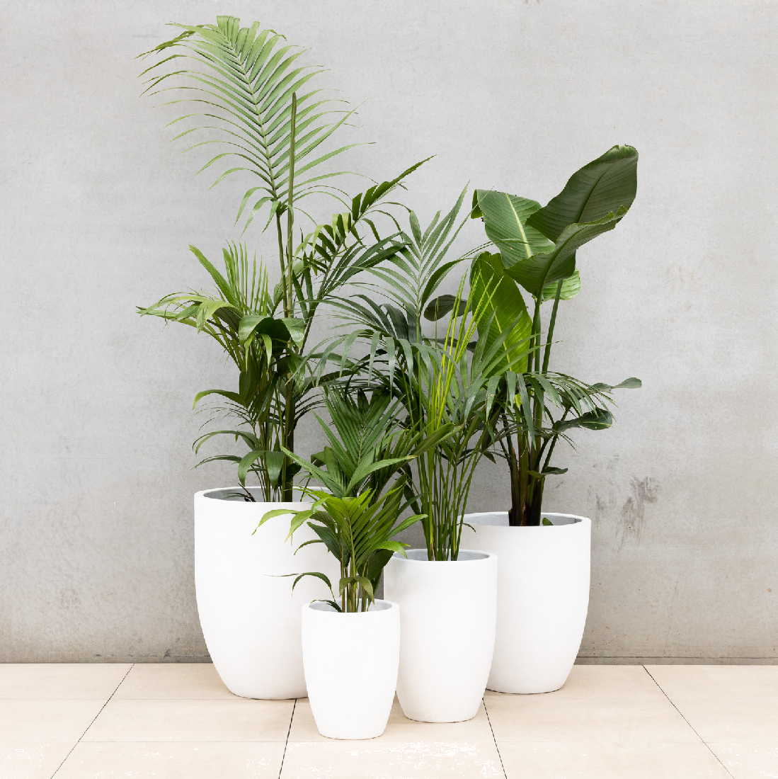 POT U CEMENTLITE C SIZE 39 X 39CM – Plateau Landscape Supplies ...